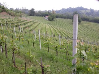 Apartamento Ovada Entorno 25