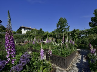 Ferienhaus Pianoro Außenaufnahme 8