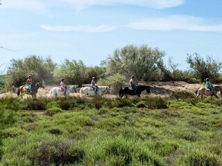 Parque de vacaciones Valras-Plage Entorno 15