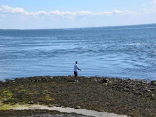 Parc de vacances Tholen (Stadt) Environnement 12