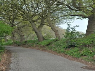 Ferienpark Tholen (Stadt) Umgebung 33