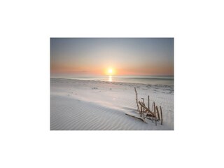 Holiday park Sasino Environment 38