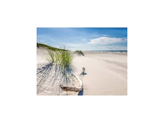 Holiday park Sasino Environment 39