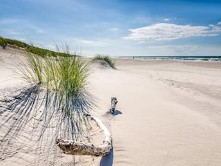 Parc de vacances Sasino  44