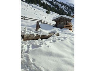 Winter auf  der Alm