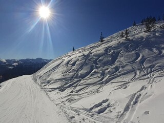 Skijuwel  Alpbachtal/Wildschönau