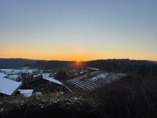 Blick aus den großen Wohnzimmerfenstern