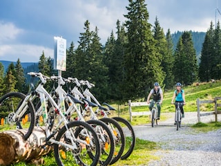 Chalet Hohentauern Außenaufnahme 21