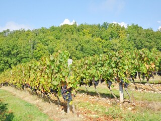 Villa Loubédat Entorno 37