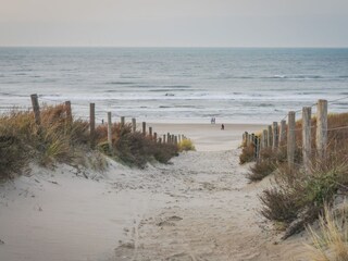 Bungalow Noordwijk Environment 11