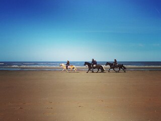 Appartamento Noordwijk Ambiente 22