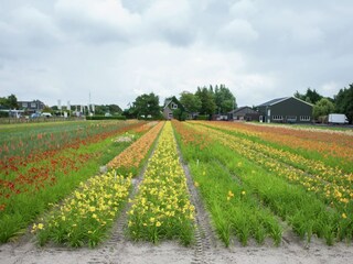Apartment Noordwijk Umgebung 23
