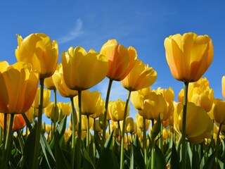 Appartement Noordwijk  39