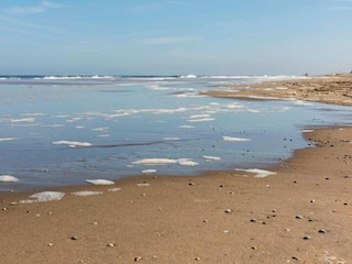 Apartment Noordwijk Umgebung 26