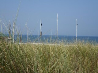 Apartment Noordwijk Umgebung 31