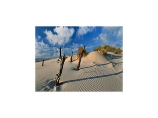 Casa per le vacanze Rowy Ambiente 22