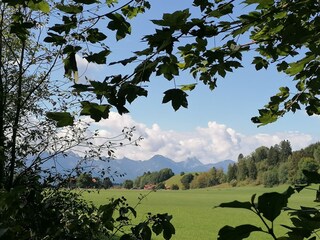 Appartamento per vacanze Halblech Ambiente 21