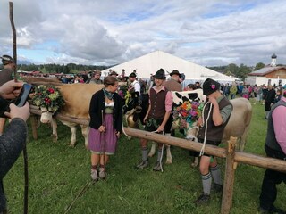 Appartement de vacances Halblech Environnement 22