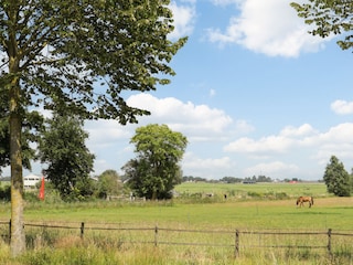 Ferienhaus Groet Umgebung 28