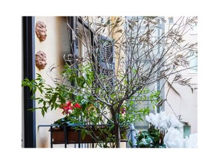 Ferienhaus Rom Süden Außenaufnahme 2