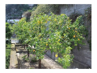 Ferienhaus Vietri sul Mare Außenaufnahme 12