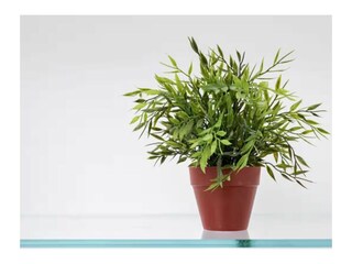 Ferienhaus Amalfi Ausstattung 30