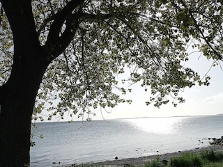 Norgaardholz Naturstrand