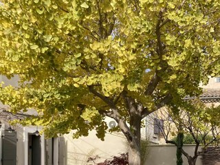 Ferienhaus Lagnes Außenaufnahme 3