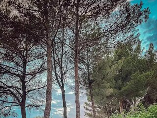 Holiday house Lagnes Environment 73