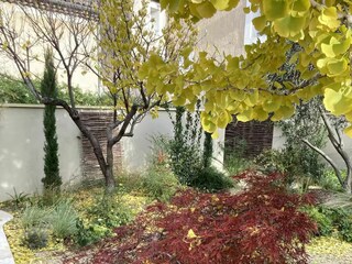 The Secret Garden and its paths