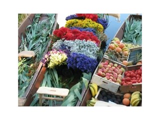 Ferienhaus Saumane-de-Vaucluse Umgebung 41