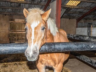 Ferienhaus Højer  15