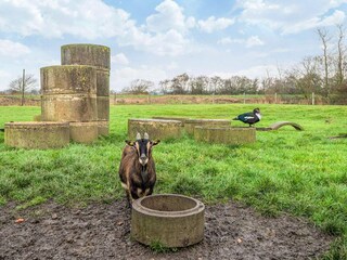 Vakantiehuis Højer  27