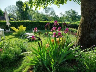 Casa de vacaciones Saint-Cirgues-de-Malbert  36