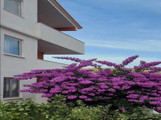 Ferienpark Okrug Donji  12