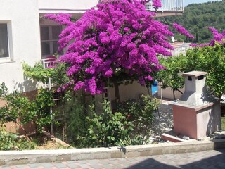 Parco vacanze Okrug Donji  23