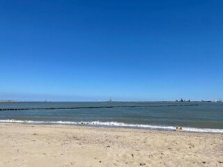 Holiday park Tholen (Stadt) Environment 20