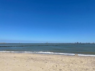 Vakantiepark Tholen (Stadt) Omgeving 20