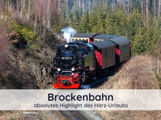 Mit der Dampflok zum Brocken