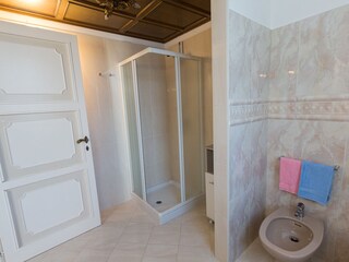 Your bathroom with shower and bidet.