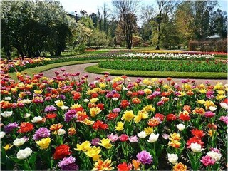 50 m from Villa Taranto Botanical Gardens.