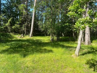 Ferienhaus Värmdö Außenaufnahme 6