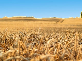 Ferienhaus Oberuckersee Außenaufnahme 3