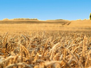 Vakantiehuis Oberuckersee Buitenaudio-opname 8