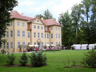 Ferienhaus Babke Umgebung 18