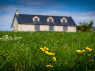 Casa per le vacanze Coleford Registrazione all'aperto 6