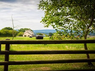 Holiday house Coleford Environment 33