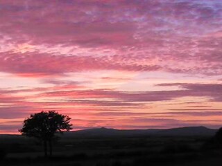 Vakantiehuis Coleford Omgeving 30