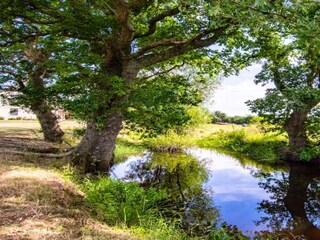 Holiday house Coleford Environment 31