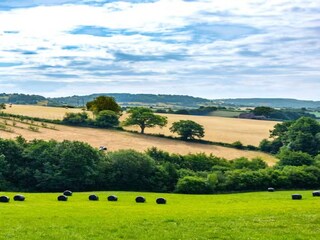 Holiday house Coleford Environment 33